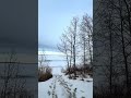Spring in Alberta ✨