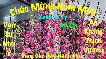 Chúc Mừng Năm Mới-Xuân Ất Tỵ-2025