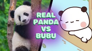 Funny Panda vs Bubu: A Fun Comparison | Bubu Dudu