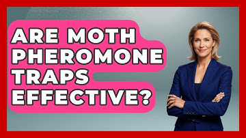 Are Moth Pheromone Traps Effective? - Insects and Invaders