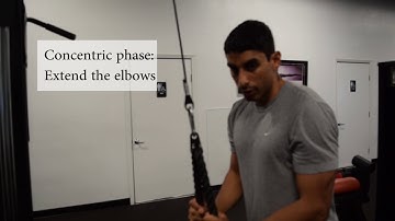 How to Perform the Triceps Extension: ACSM CPT Exam Prep