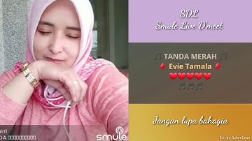 TANDA MERAH Cover: ZillZain.