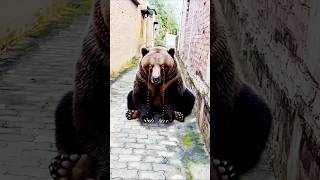 panda ro raha hai #viral #comedy #funny #viralvideo #viralreels #trending #viral #reels #foryou