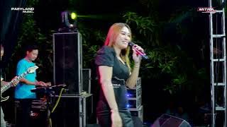 PAEYLAND MUSIC - LIDAH - RIA ANDIKA - WEDDING AFIF & ERNI - RAU JEPARA