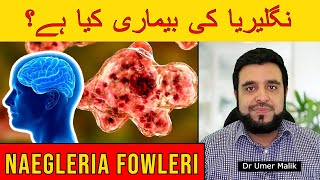 Naegleria Fowleri Kya Hai Naegleria Virus Ki Alamaat, Brain Eating Amoeba نگلیریا کی بیماری کیا ہے؟