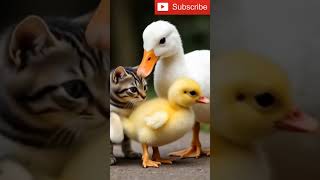Download Mp3 This Mama Duck Adopted a Kitten Gudang lagu Download Mp3 This Mama Duck Adopted a Kitten