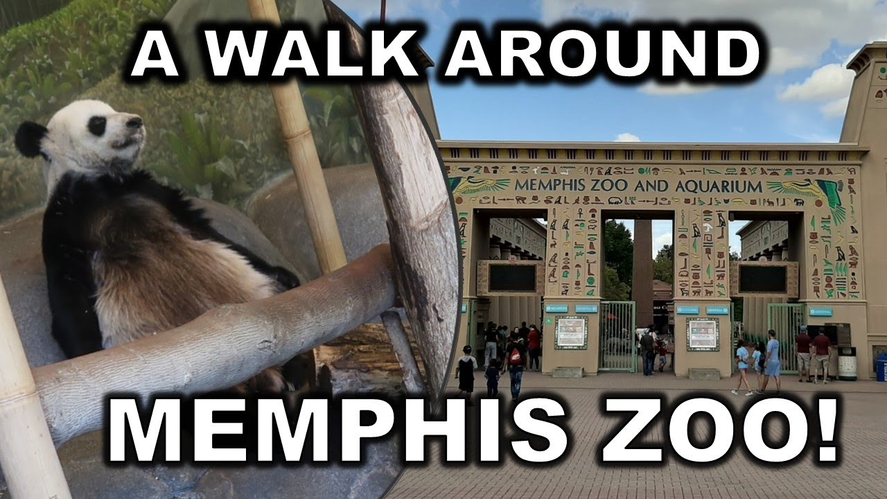 best time to visit memphis zoo