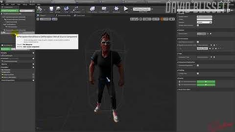 Unreal Engine 4 - AI Configuration (Perception Stimulus)