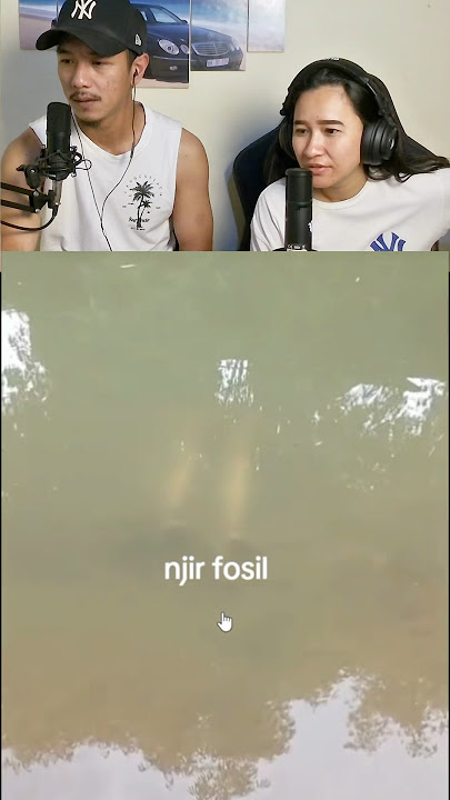 Is That a Human Corpse?! 🤔