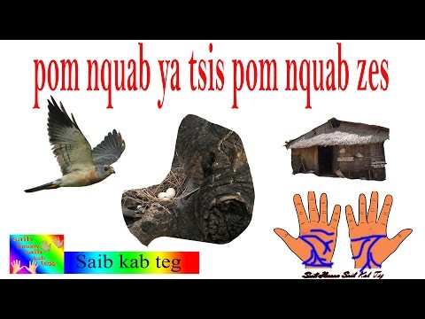 Video: Tus neeg saib xyuas lub tsev ua haujlwm li cas?