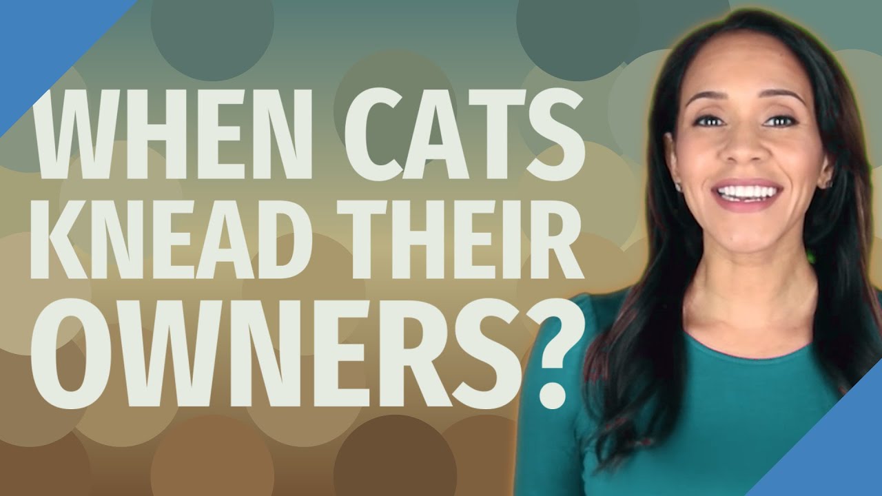 When cats knead their owners