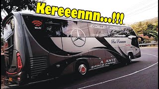 Bus Sinar Jaya, Pelita Baru, Setia Negara, Sumber Alam | Bus Akap & Pariwisata Tikungan Balaikambang