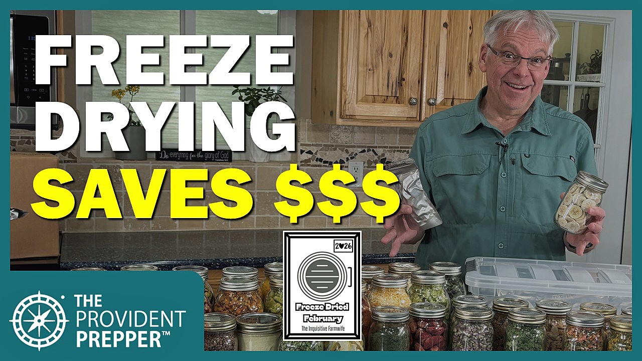 Как сублимационная сушилка экономит нам сотни долларов в год (реальные примеры!) #2026FreezeDried...