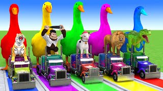 5 Giant Duck Cartoon,Cow,Elephant,Tiger,Lion,Dinosaur,Paint Wild Animals Crossing Fountain Animation