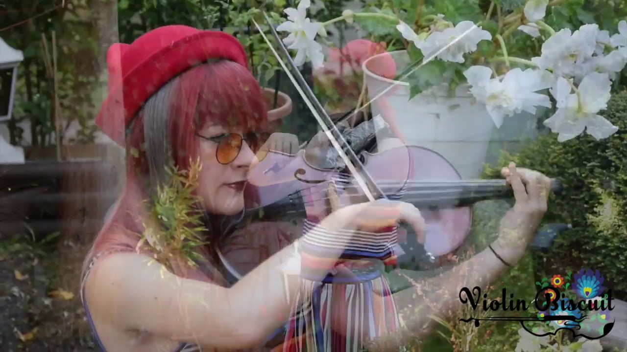 The Sims - Neighborhood 3 Theme Violin Cover | ViolinBiscuit