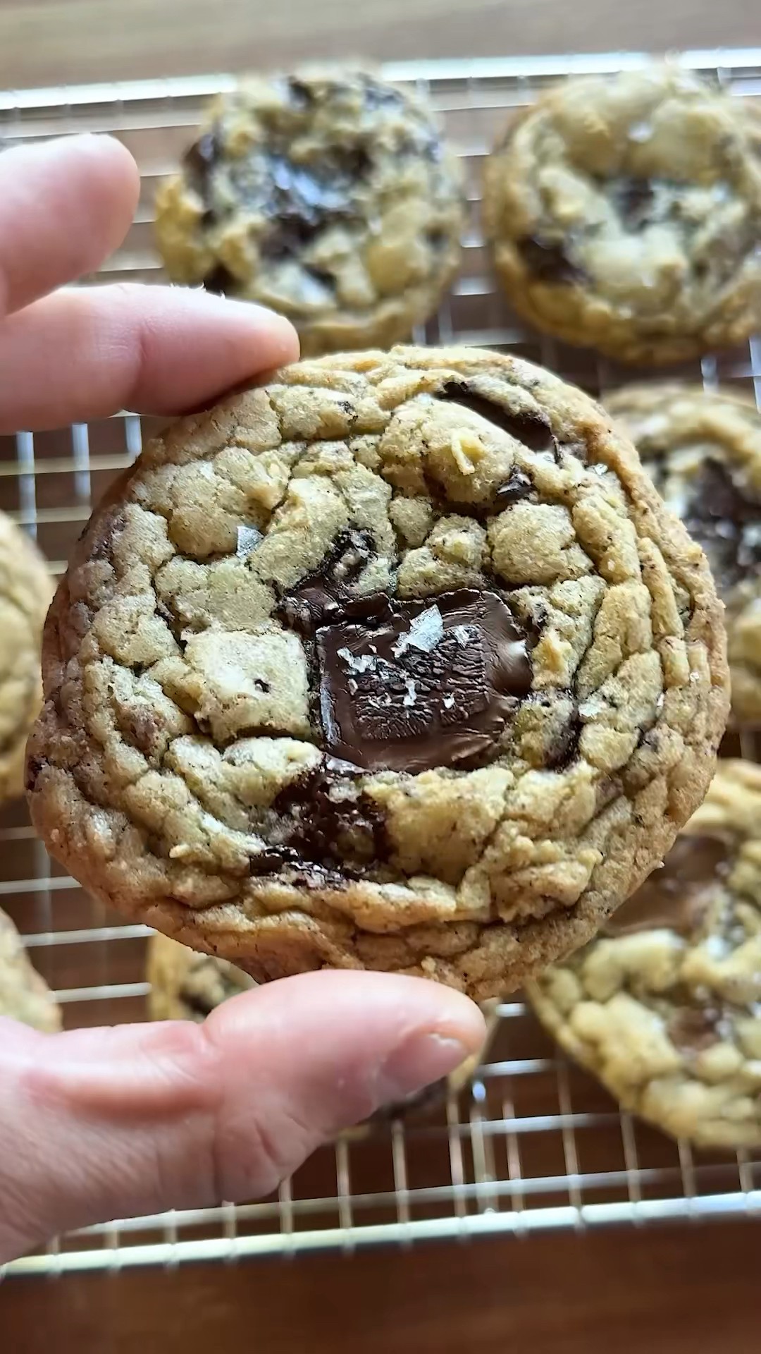 The Best Chocolate Chip Cookies