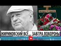 Сын Жириновского сообщил печальную новость. ЧП СЕГОДНЯ, ЧП НТВ, Новости чп