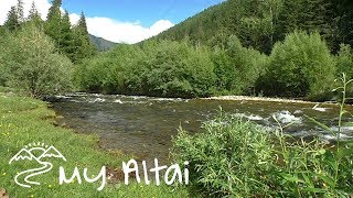 Горный Алтай. Река Большой Ильгумень у перевала Чике-Таман