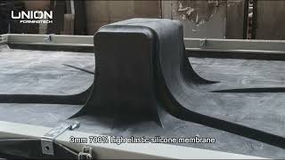 Celebrity VMP-A Vacuum membrane pressfor the solid surface corian forming and bending machine Net Worth
