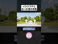 イシツブテになってしまいました【アニメ】