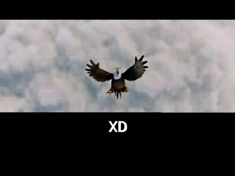 Aguila Poderosa Se Cae De Una Montaña 