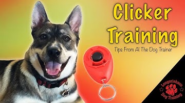Clicker Training  How, Why, and Why Not - Tips From Al The Dog Trainer