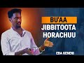 BU AA JIBBITOOTA HORACHUU HAASAA CIMAA EBA KENENITIN HARMONY MEDIA IRRATTI TAASIFAME 