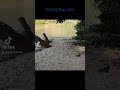 #nestosriver