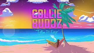 Collie Buddz - No Bush Weed (ft. B Real) chords