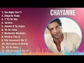 Chayanne 2024 MIX Las Mejores Canciones - Un Siglo Sin Ti, Dejaria Todo, Y Tú Te Vas, Torero