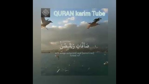 تلاوة خاشعة وآية مباركة من سورة الملك📚/القارئ أحمد العجمي/حالات واتس اب دينية..💞