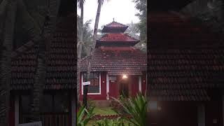 Monsoon @ Maitreya Ayurveda Ashrama, Kome, Thekatte #monsoon  #rain #viral #health #panchakarma