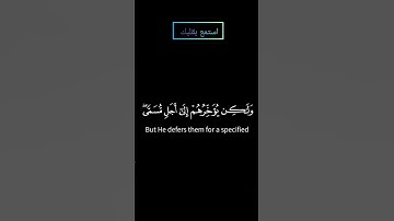 سورة فاطر ولو يؤاخد الله الناس بما كسبوا ما ترك على ظهرها من دابة بصوت ياسر الدوسري #قرآن #قران