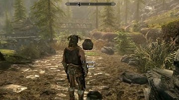 SKYRIM - SETTLEMENT - BUILDER  DEV