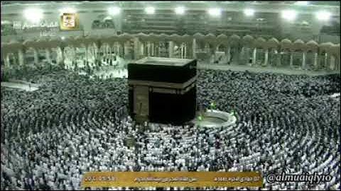 الشيخ ماهر المعيقلي - فواتح سورة فصلت