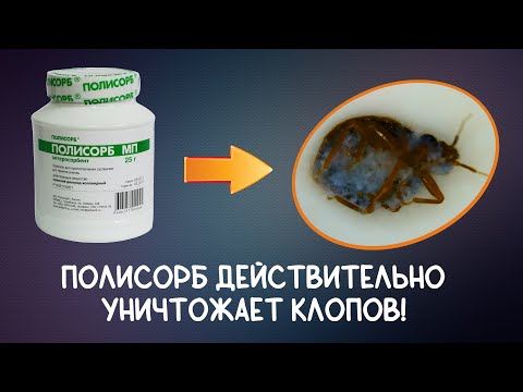 Полисорб ВЫСУШИЛ КЛОПОВ за 15 минут!