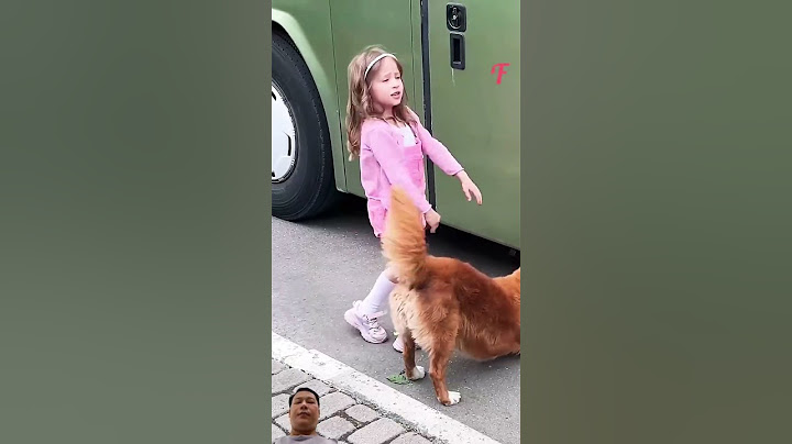 Incredible Dog Rescues Kottens From Bus - Inspiring story #shorts #cat #kitten #rescuecats