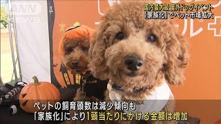 横浜で国内最大規模ドッグイベント　「家族化」進みペット市場拡大(2023年10月21日)