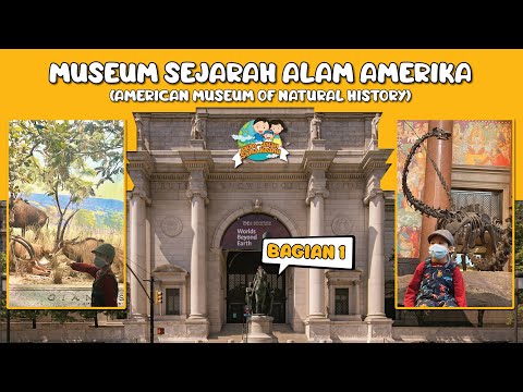 Video: Museum Sejarah Alam Amerika