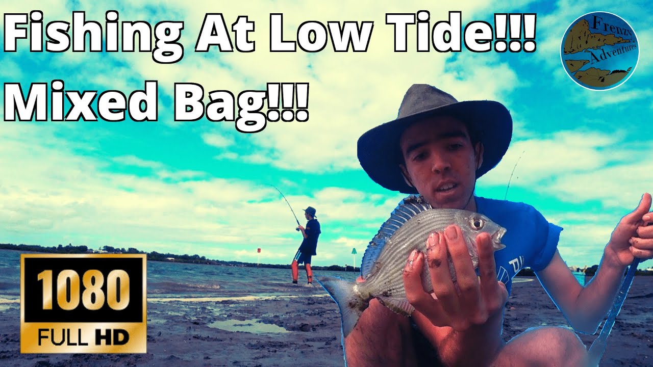 Catching Fish at Low Tide (Tingalapa Creek) YouTube