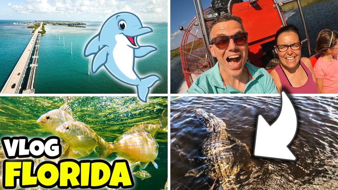 FACCIAMO IL SAFARI DEI DELFINI e incontriamo gli ALLIGATORI: Viaggio in Florida