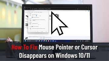 How To Fix Mouse Pointer or Cursor Disappears on Windows 10/11