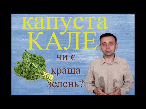 капуста Кале