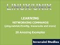 Linux Basic Networking Commands