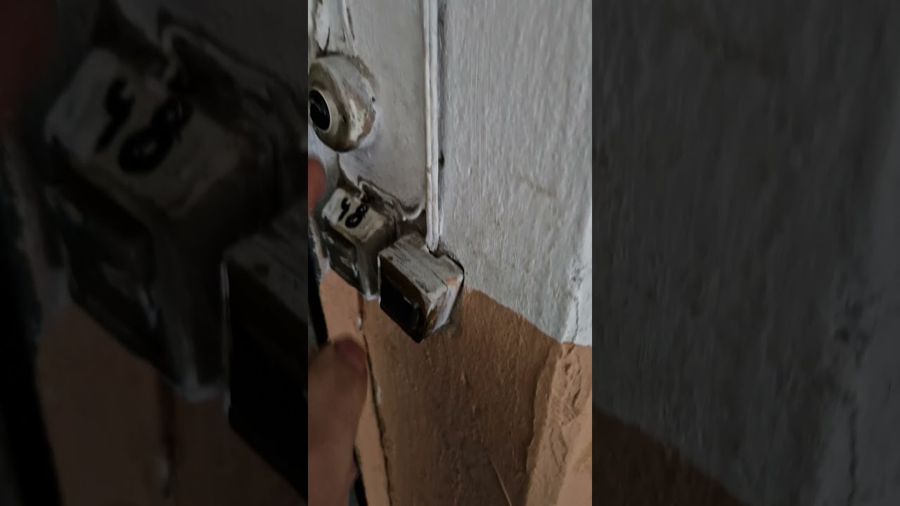 Из-за жлобов все ходят пешком