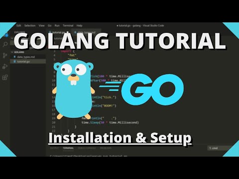 Golang Tutorial #1 - An Introduction to Go Programming