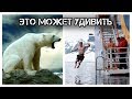 ✔️Любопытные факты☝️об Антарктиде❄️, которые вы не найдете в учебниках📚