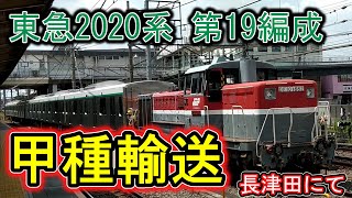 【速報】2020系甲種輸送　長津田にて