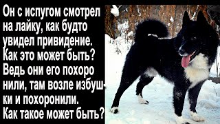 Часть 3.💥Его Похоронили, Но Он Возвратился, Порой И Чудеса В Рождество Случаются! Случай В Тайге!