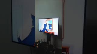 TikTok Tom and Jerry & Zamira